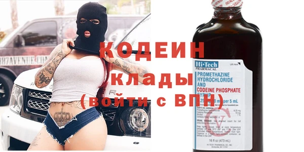индика Вяземский