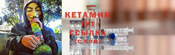 индика Вяземский