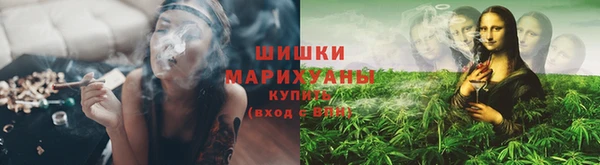 индика Вяземский