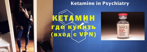 индика Вяземский