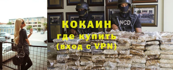 ешки Горняк