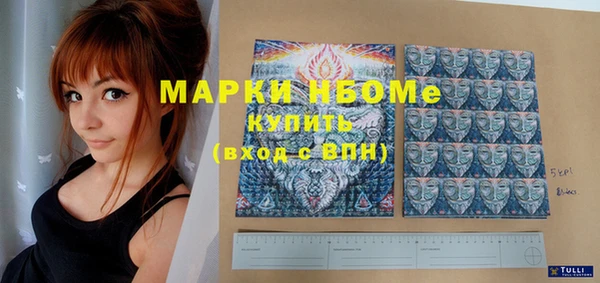 индика Вяземский