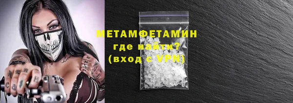 индика Вяземский