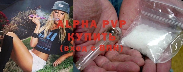 индика Вяземский